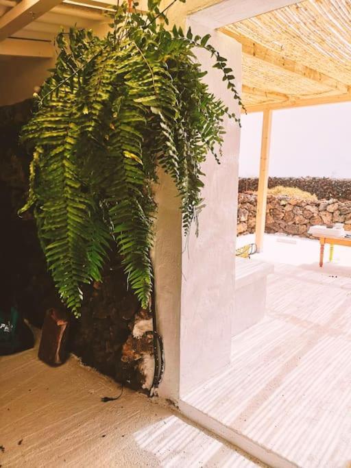 Estudio Con Bano Privado オルソラ エクステリア 写真